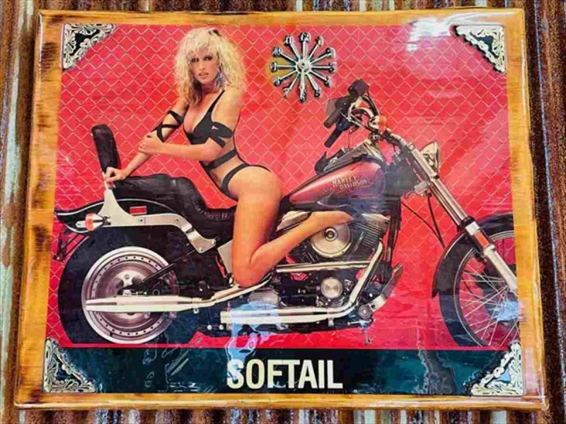 USA ϡ졼ӥåɥ եƥ ɳݤ 