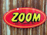 ZOOM ���� �������