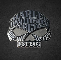 ϡ졼 ᥿ ƥå  С ()