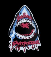 㡼 󥿥롼 Santa Cruz ƥå 