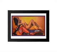 �ݥ����� �ۥ�� �Х��� ���졼�� ��ȥ�����  PJB20