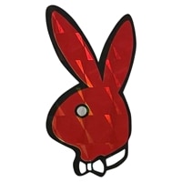 PLAY BOY ե쥯 ƥå ȿ ץ쥤ܡ  SC21