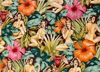 �ϥ磻 ������ �ϥ磻���� ���� ���쥭��������إ�꡼  E1