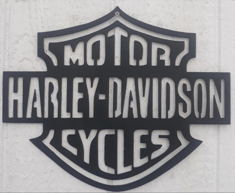 �ϡ��졼���ӥåɥ��� �᥿�� ���� ���� J11-020