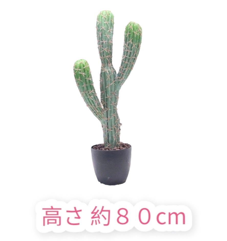 ���ܥƥ� �ե��������꡼�� ���� 80cm ���տ�ʪ