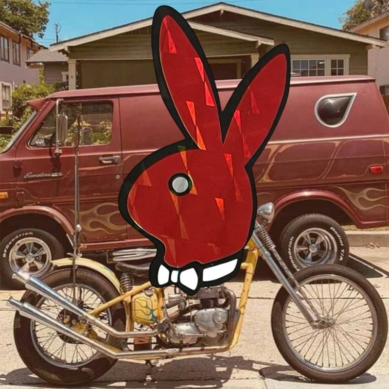 PLAY BOY ��ե쥯���� ���ƥå��� ȿ�� �ץ쥤�ܡ���  SC21