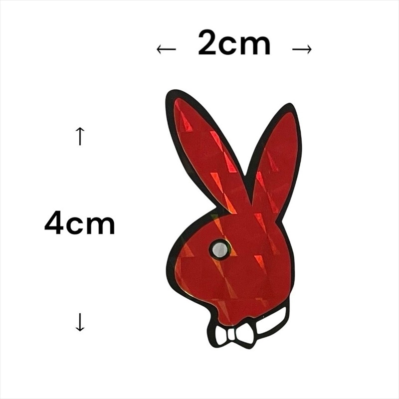 PLAY BOY ��ե쥯���� ���ƥå��� ȿ�� �ץ쥤�ܡ���  SC21