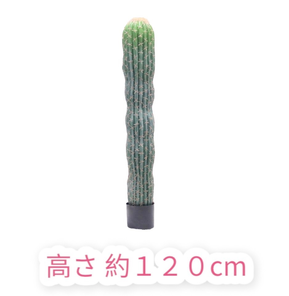 ���ܥƥ� �ե��������꡼�� ���� 120cm ���տ�ʪ