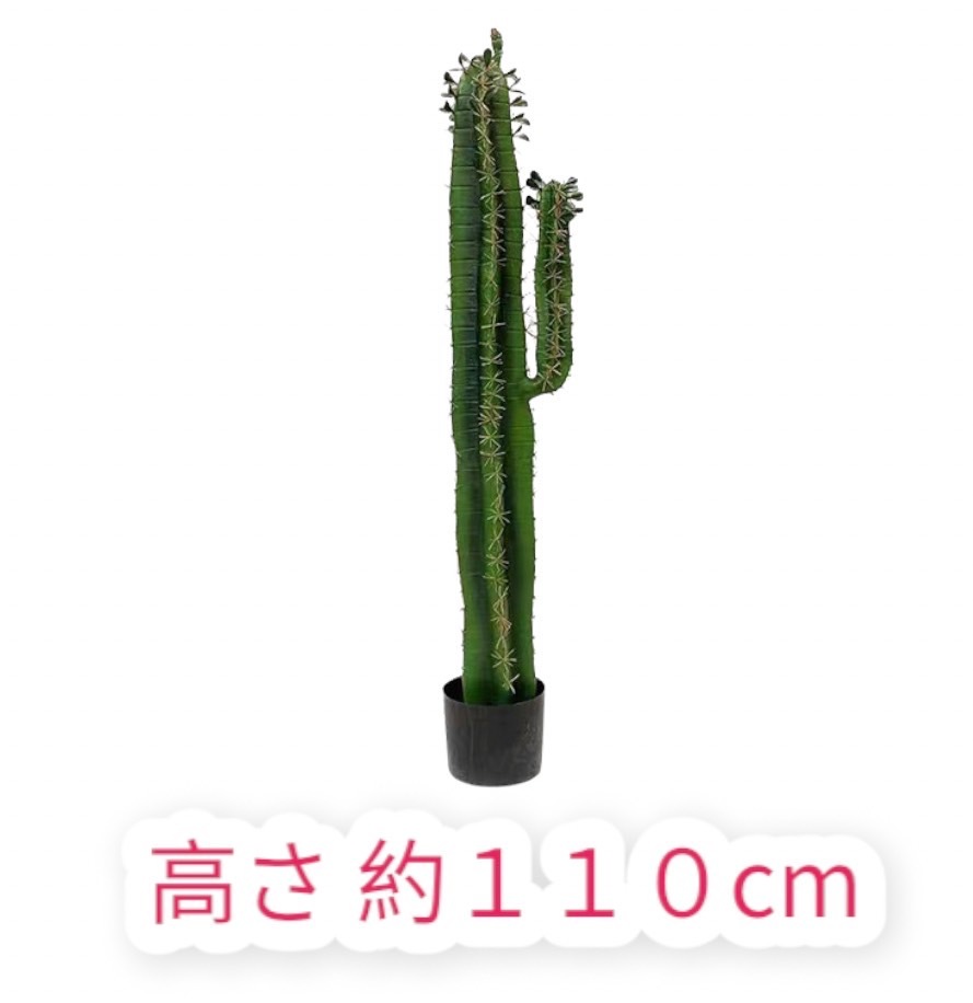 ���ܥƥ� �ե��������꡼�� ���� 110cm ���տ�ʪ