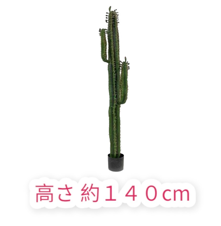 ���ܥƥ� �ե��������꡼�� ���� 140cm ���տ�ʪ