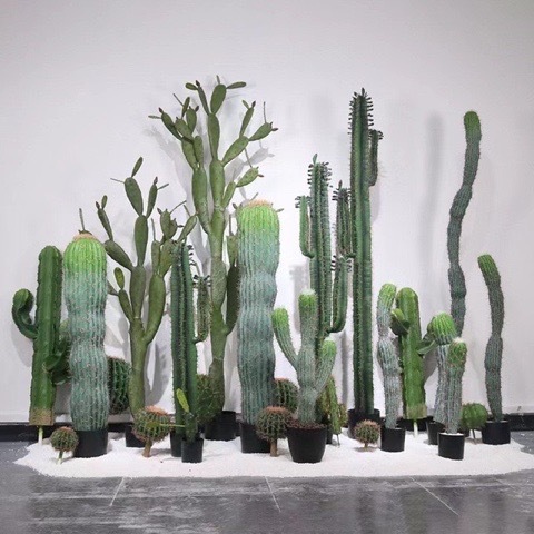 ���ܥƥ� �ե��������꡼�� ���� 140cm ���տ�ʪ
