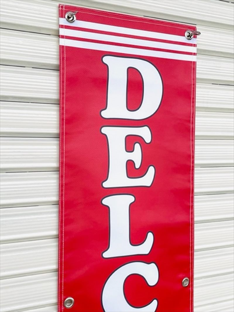 ǥ륳 Delco Хåƥ꡼ ǥ顼 ӥˡ Хʡ