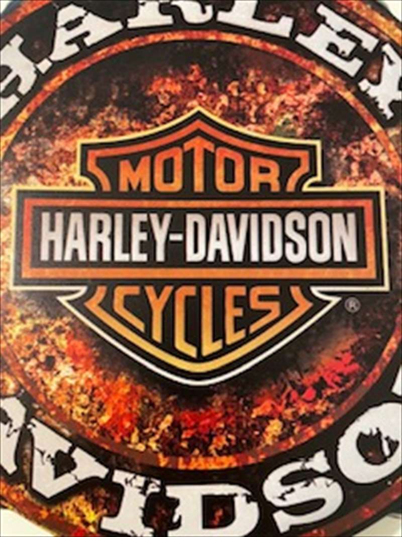 HARLEY-DAVIDSON �ϡ��졼 �֥ꥭ����