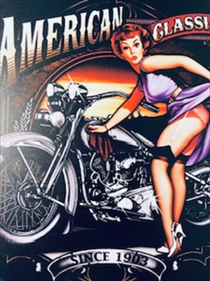 HARLEY-DAVIDSON �ϡ��졼 �֥ꥭ����