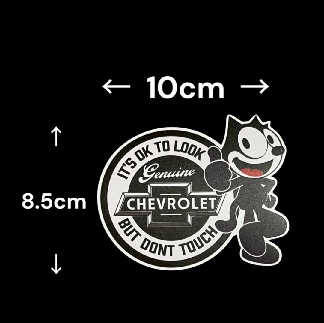 �ե���å��� ���ܥ졼 Felix �ɿ� ���ƥå��� SCH20