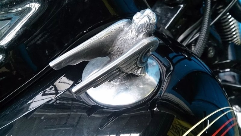 �ϡ��졼 ���� ����å� �����ӡ� 1929  J20201