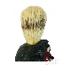 ǥӥ ӥ󥰥֥饷 barber ɦ ƾ Ʊ ۥåȥå