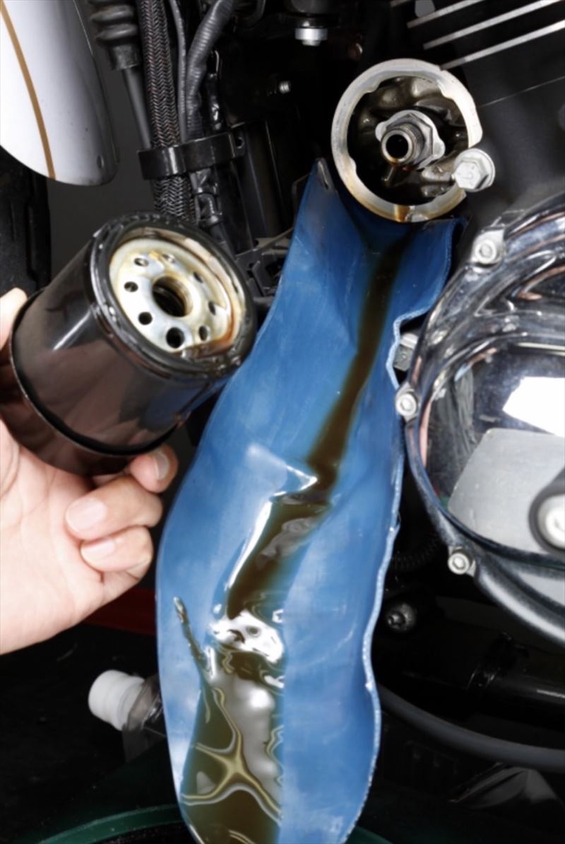 �� �Х��� ���󥸥󥪥���� ��ͳ�ѷ� �ե쥭���֥�ե���ͥ�