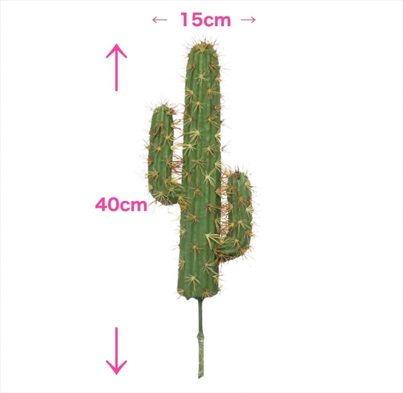 �쥵�ܥƥ� �ե��������꡼�� ���� �⥷��� ���տ�ʪ ¿����ʪ