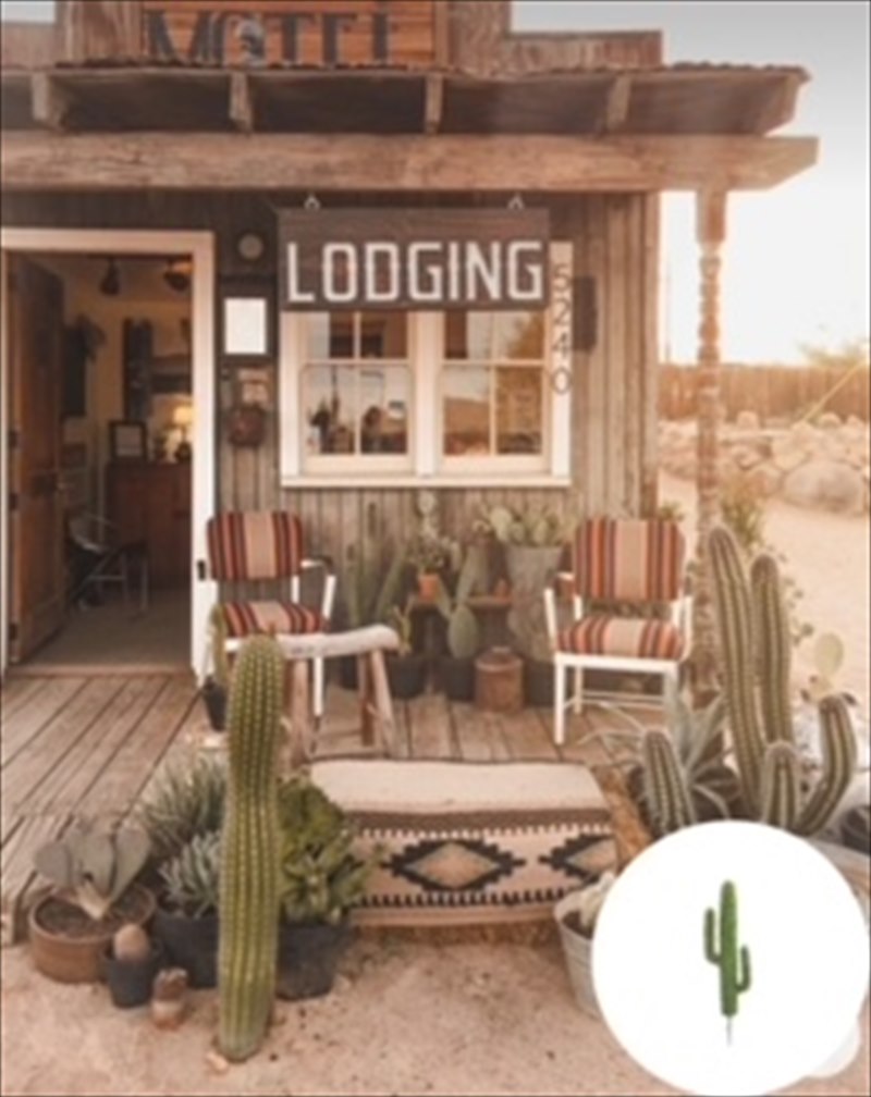 �쥵�ܥƥ� �ե��������꡼�� ���� �⥷��� ���տ�ʪ ¿����ʪ