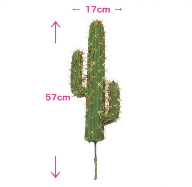 �쥵�ܥƥ� �ե��������꡼�� ���� �⥷��� ���տ�ʪ ¿����ʪ