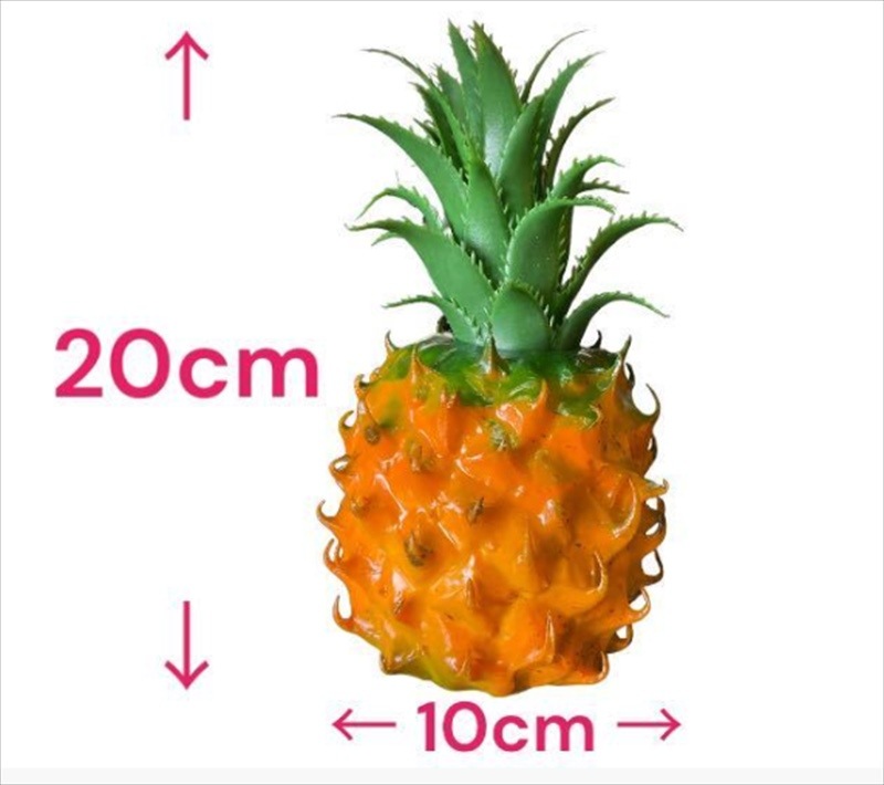 �ѥ��ʥåץ� ����ƥʥȥåѡ�  AT50