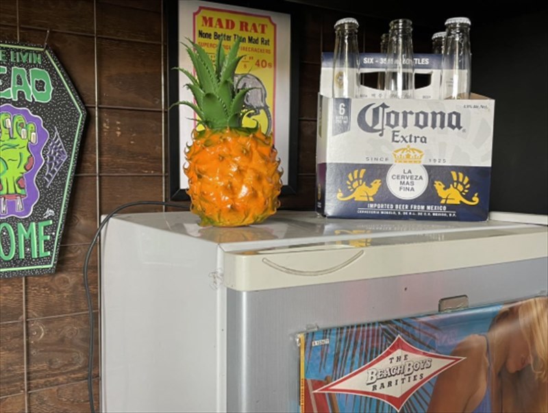 �ѥ��ʥåץ� ����ƥʥȥåѡ�  AT50