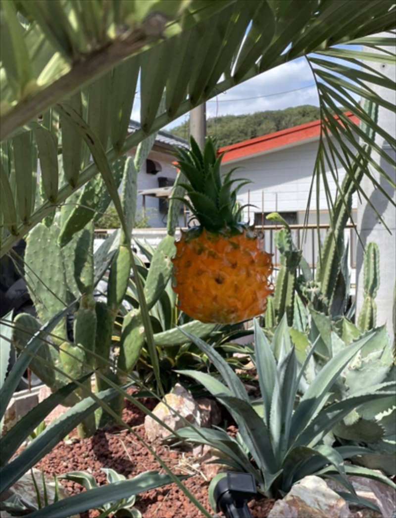 �ѥ��ʥåץ� ����ƥʥȥåѡ�  AT50