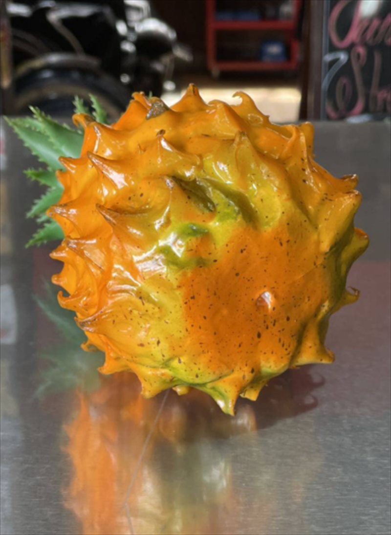 �ѥ��ʥåץ� ����ƥʥȥåѡ�  AT50