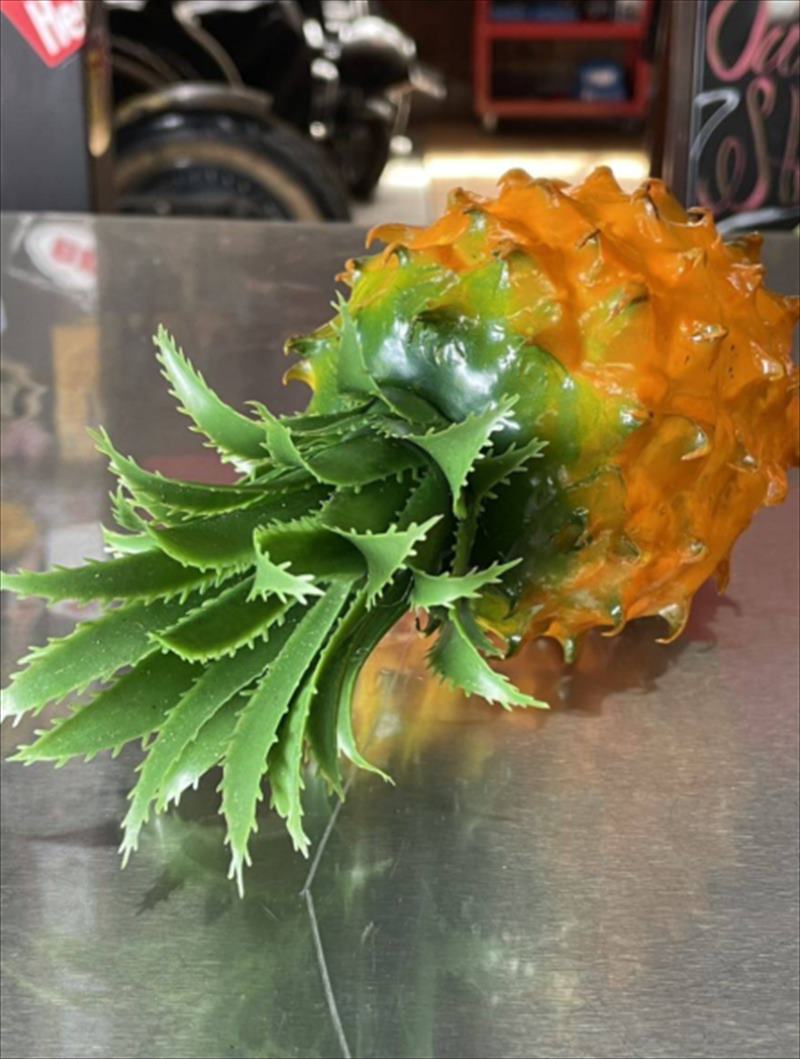 �ѥ��ʥåץ� ����ƥʥȥåѡ�  AT50