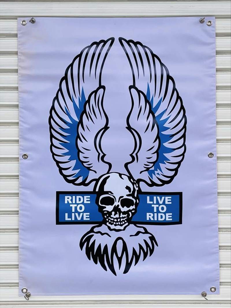 ������ �ӥˡ��� �Хʡ� VTG �ϡ��졼 