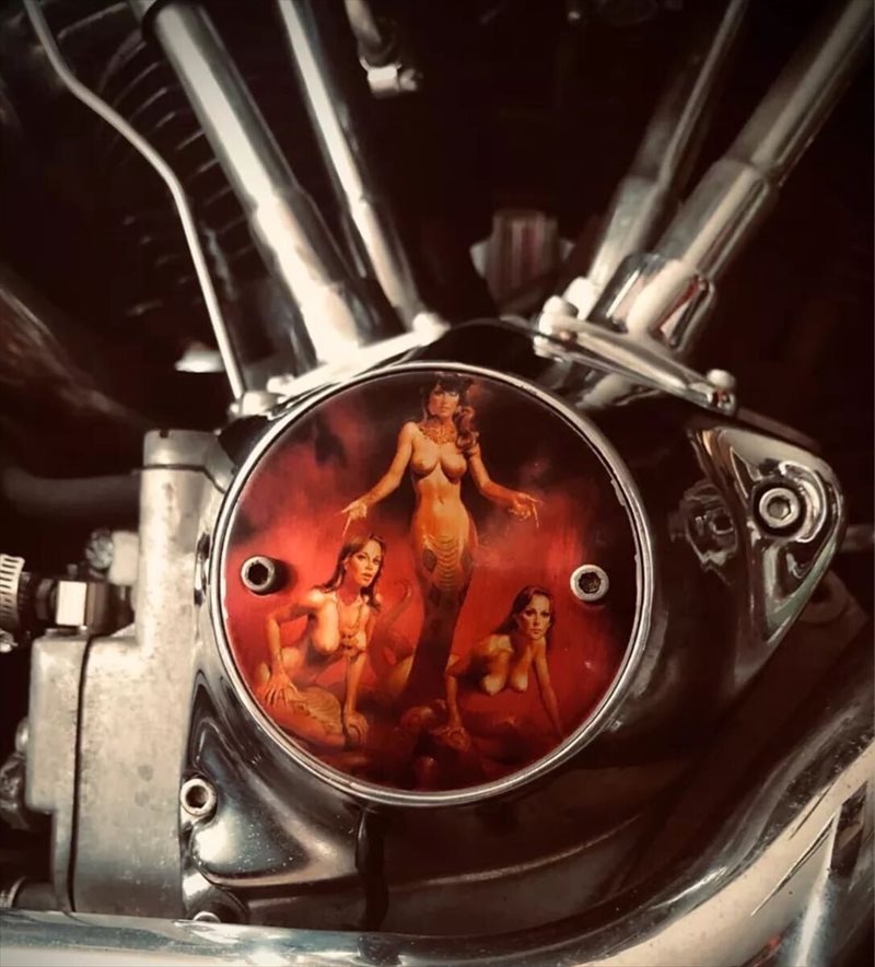 �ϡ��졼 �ݥ���ȥ��С� ���󥸥�  J5630