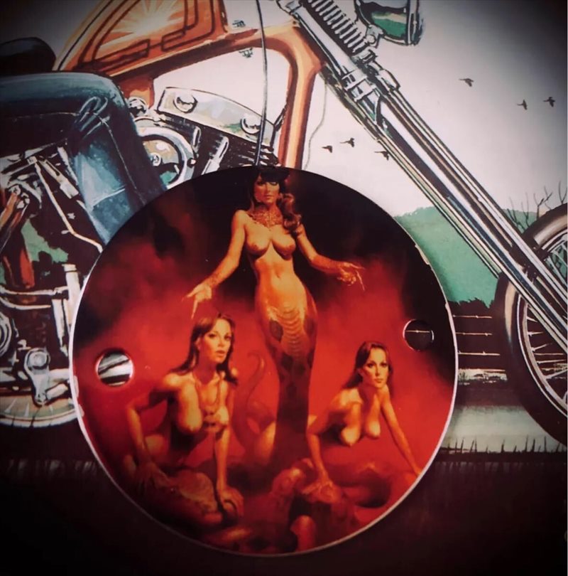 �ϡ��졼 �ݥ���ȥ��С� ���󥸥�  J5630