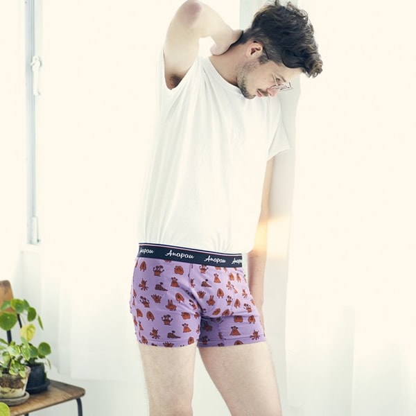 アナパウ/Anapau モンスターボクサーパンツ ボクサーブリーフ アンダーウェア メンズ下着 P-2101 メンズ【メール便可能】