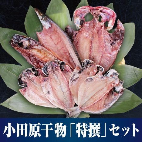 ���ĸ���ʪ�����񥻥åȡ� ������ʪ������