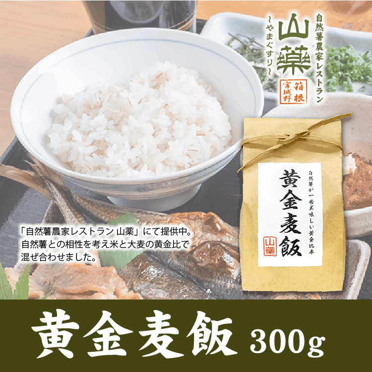 �ڼ��������ȥ쥹�ȥ�� �����ۡ��������� 2��