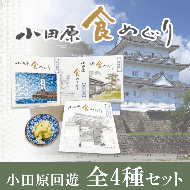 �ڿ��ᤰ�ꥷ�꡼���۾��ĸ���ͷ �����糧�åȡ��ʷ�̣�������꺫�ۡ������Ѽѡ������ѡ���100���