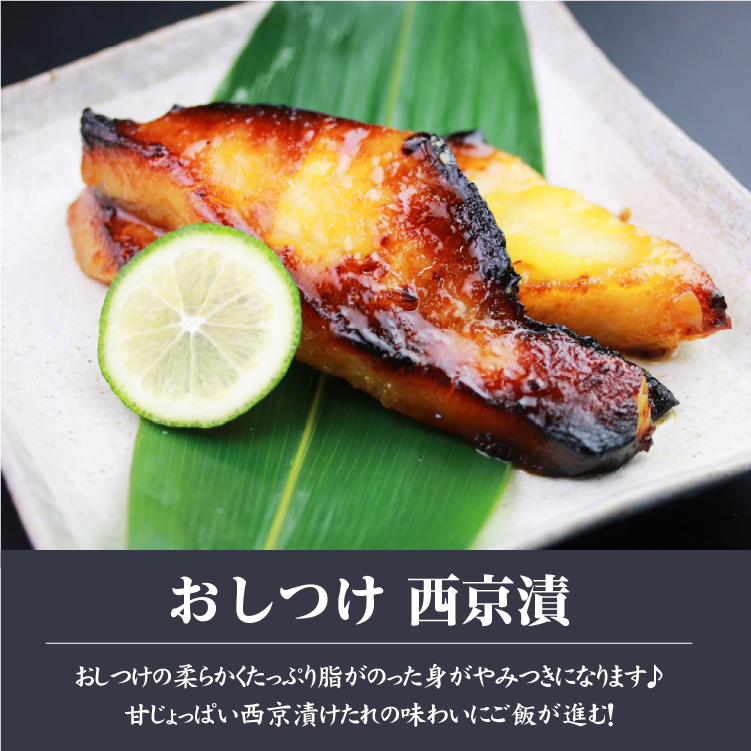 㤦ĸҤڤ롡ĸ ֥Х饨ƥåȡϵ5