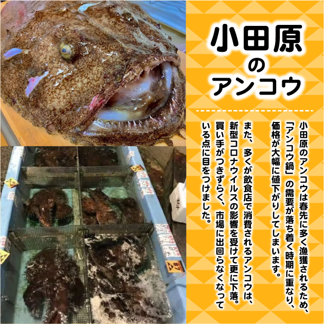 ĸϵͰơ餢󤳤졼(1200硿)