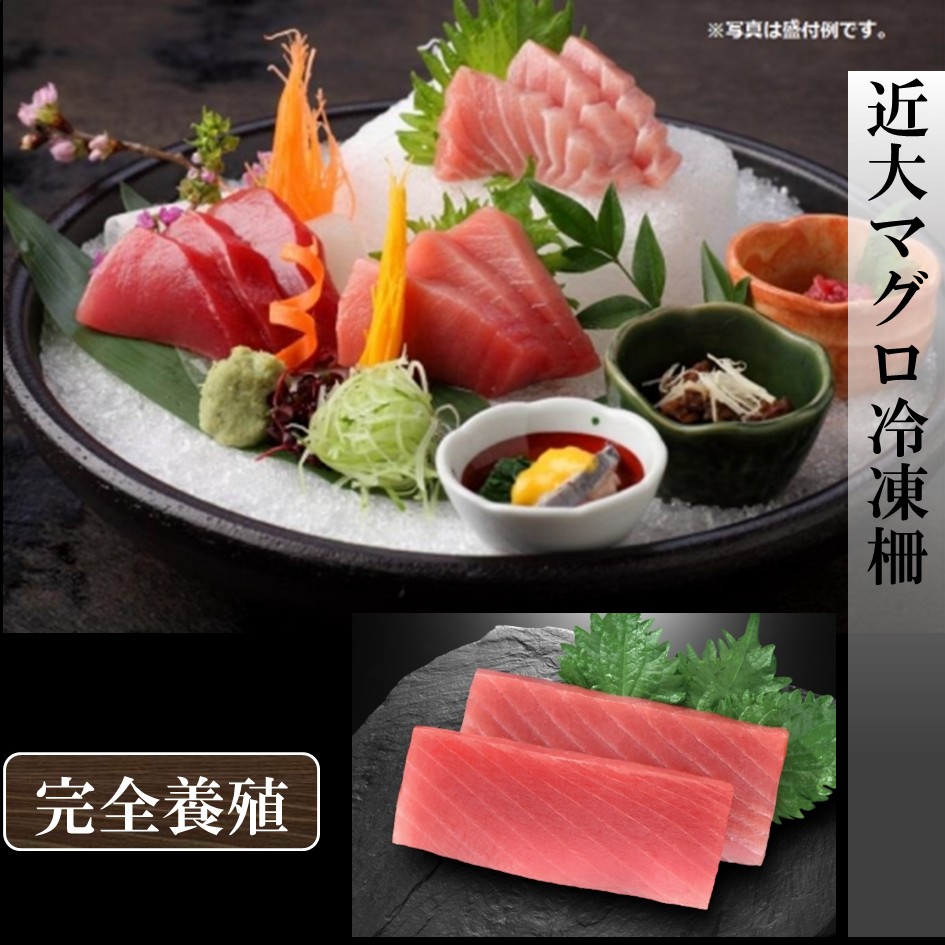 【マグロ】近大マグロ冷凍柵