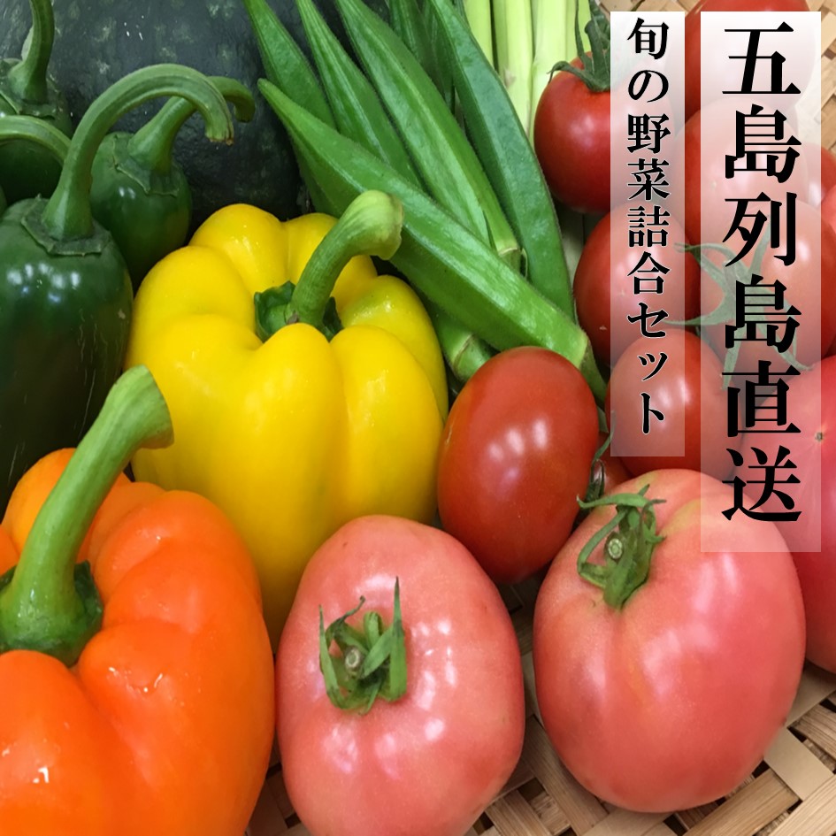 五島列島直送　旬の野菜詰合せセット