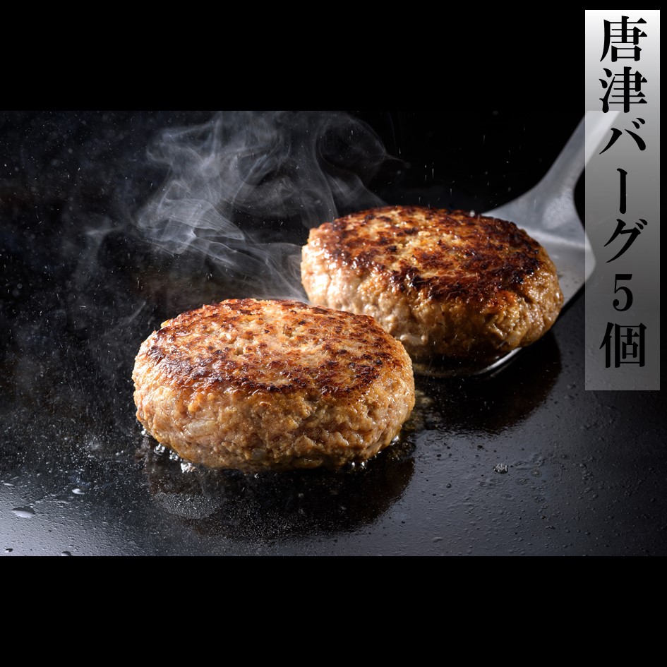 唐津バーグ5個