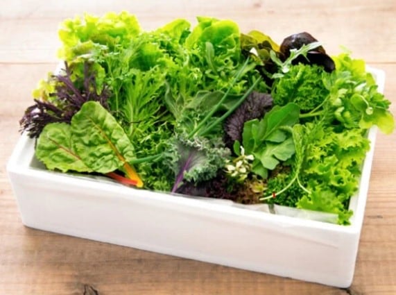 一粒の種から始まる幸せの輪プロジェクト　　　　　　　　　　　　　　　　　　　　                  「無農薬ミックスリーフ」　　　　　　　　　　　　　　　　　　　　　　　　　内容量：500g/ご参考：サラダ約10人分