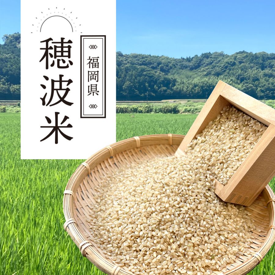 ＼販売開始／穂波米（玄米）【20キロ（5キロ×4袋）】