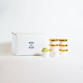 鮮やかなジェラート 8個セット