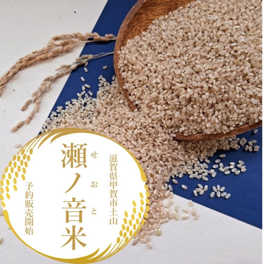 〈予約販売〉瀬ノ音(せおと)米【玄米：10キロ】