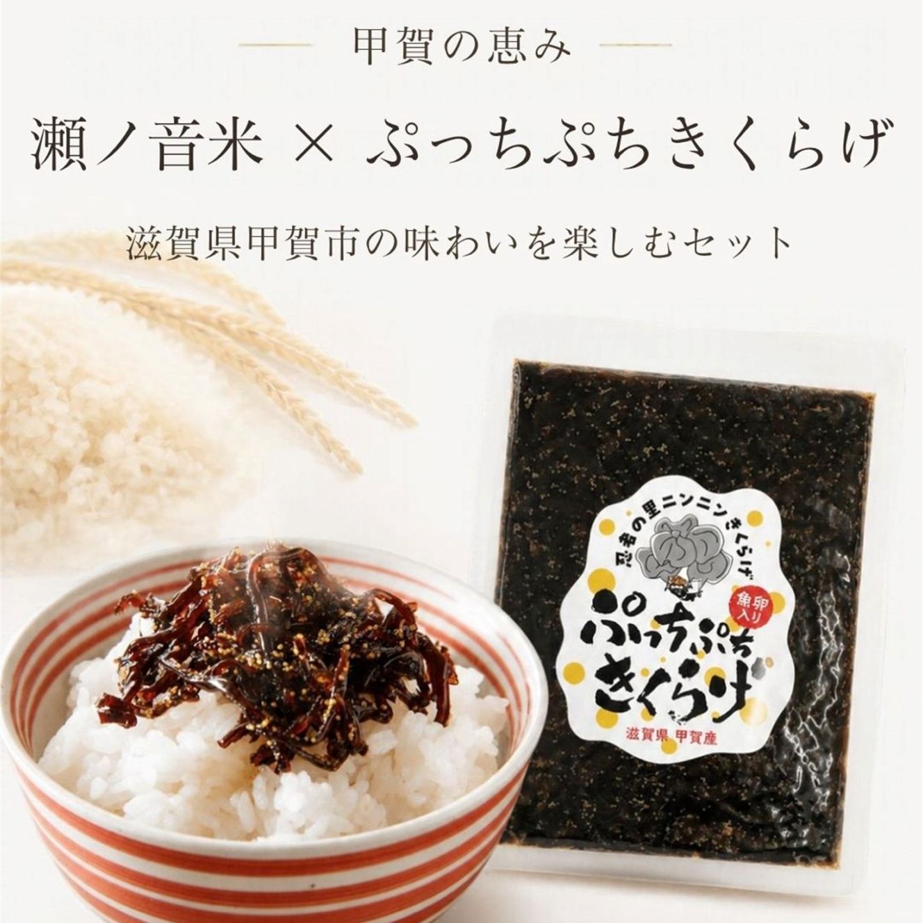 〈予約販売〉瀬ノ音(せおと)米【玄米】・ぷっちぷちきくらげセット