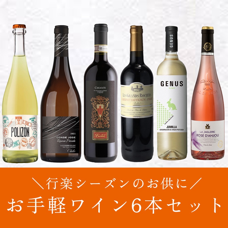 お手頃ワイン６本セット
