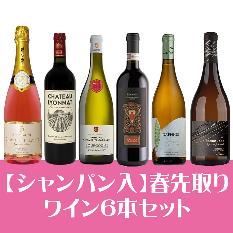 スペシャルセール | IPPON ICHIE 逸本一会