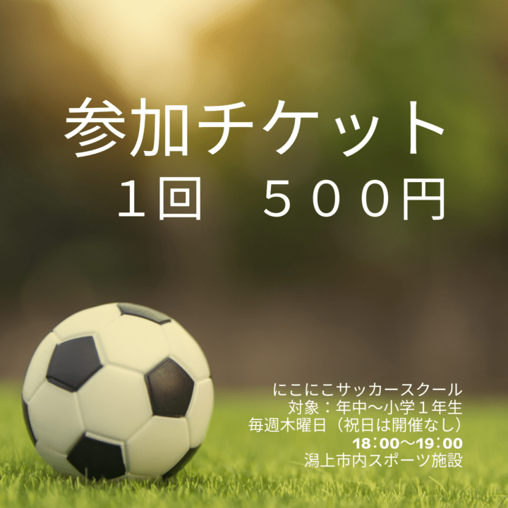 スクールチケット　１回分